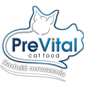 Koty.pl